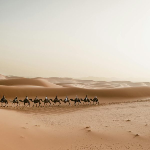 4 Days Ouarzazate Desert Tour
